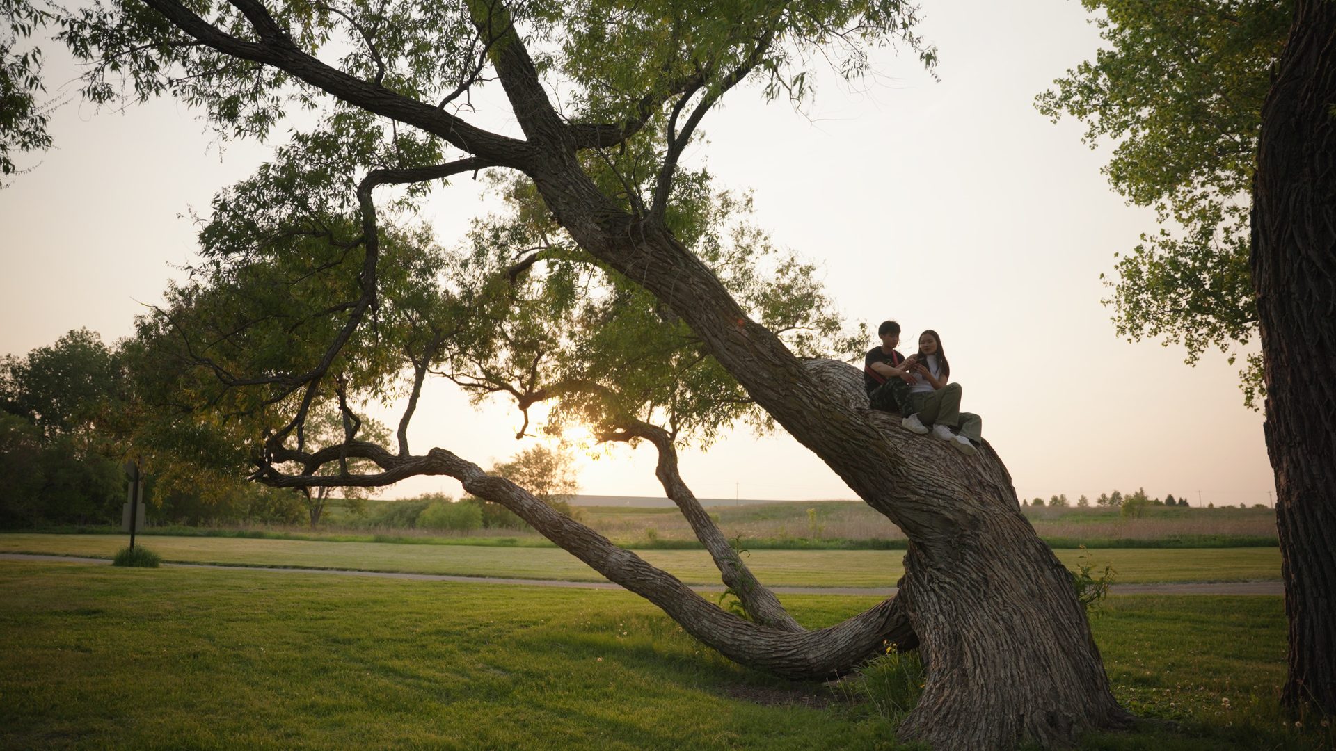 Film still by Hyunsoo Moon